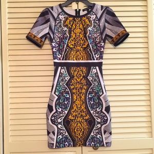 Jealous Tomato Symmetrical Formfitting Dress